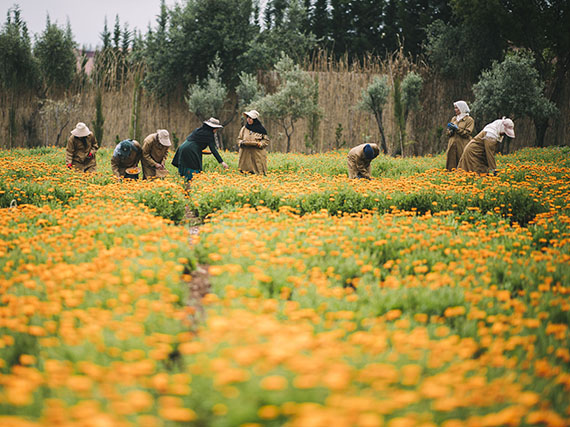 Los jardines también sirven para empoderar